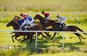 Lopp 2 strax efter start på Göteborg 150626. Foto: Stefan Olsson / Svensk Galopp